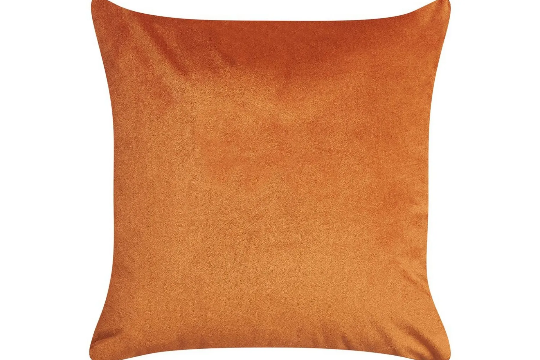 Prydnadskuddar Aeonium set om 2 Orange/svart