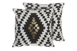 Prydnadskuddar Coleus set om 2