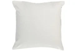 Prydnadskuddar Coleus set om 2