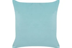 Prydnadskuddar Coneflower set om 2