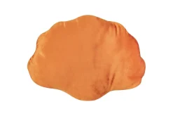 Prydnadskuddar Consolida Orange