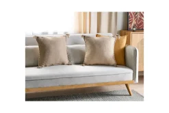 Prydnadskuddar Erigeron set om 2