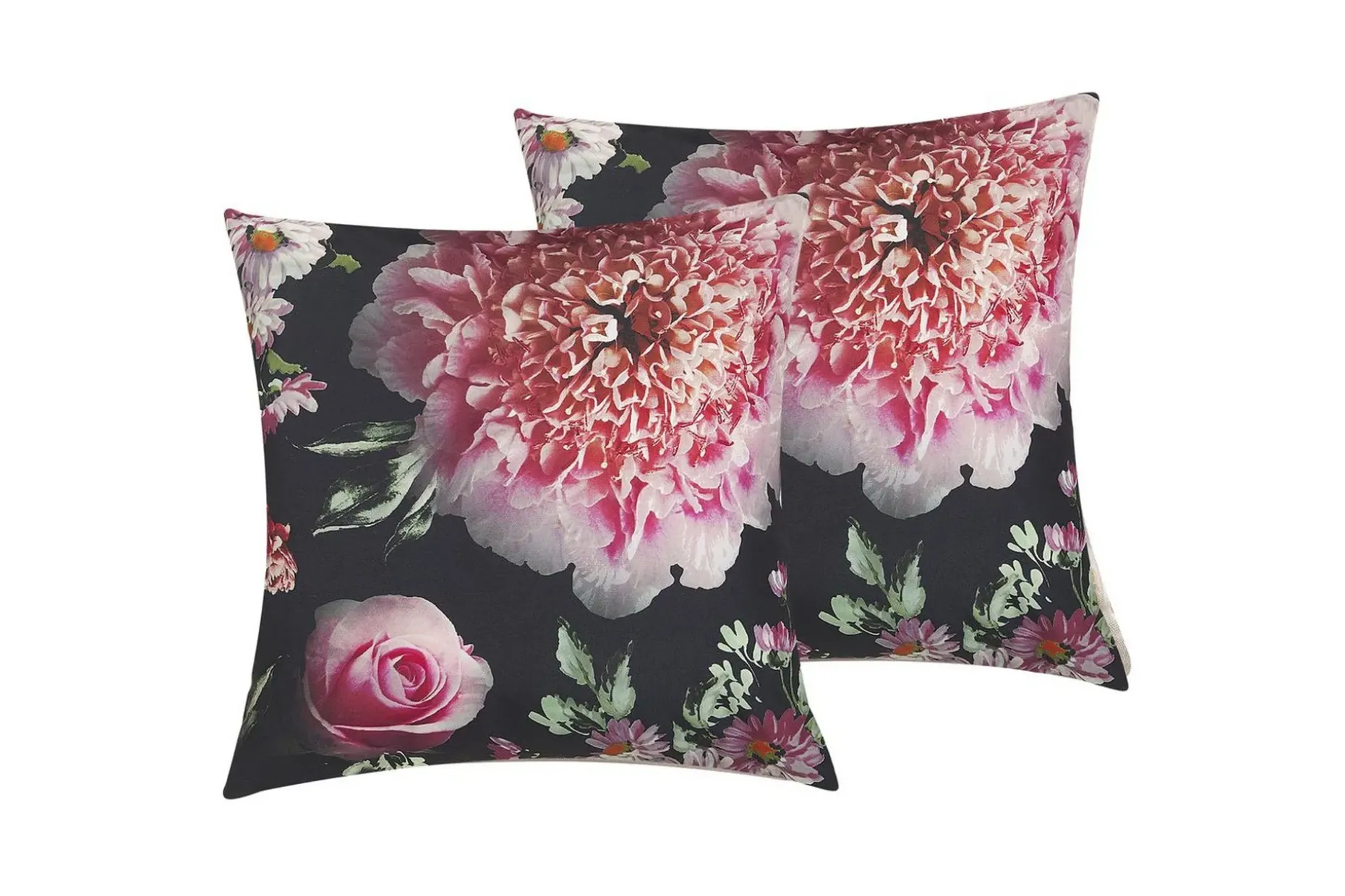 Prydnadskuddar Hedera set om 2
