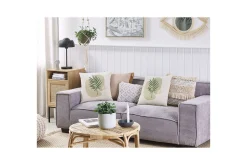 Prydnadskuddar Microsorum set om 2