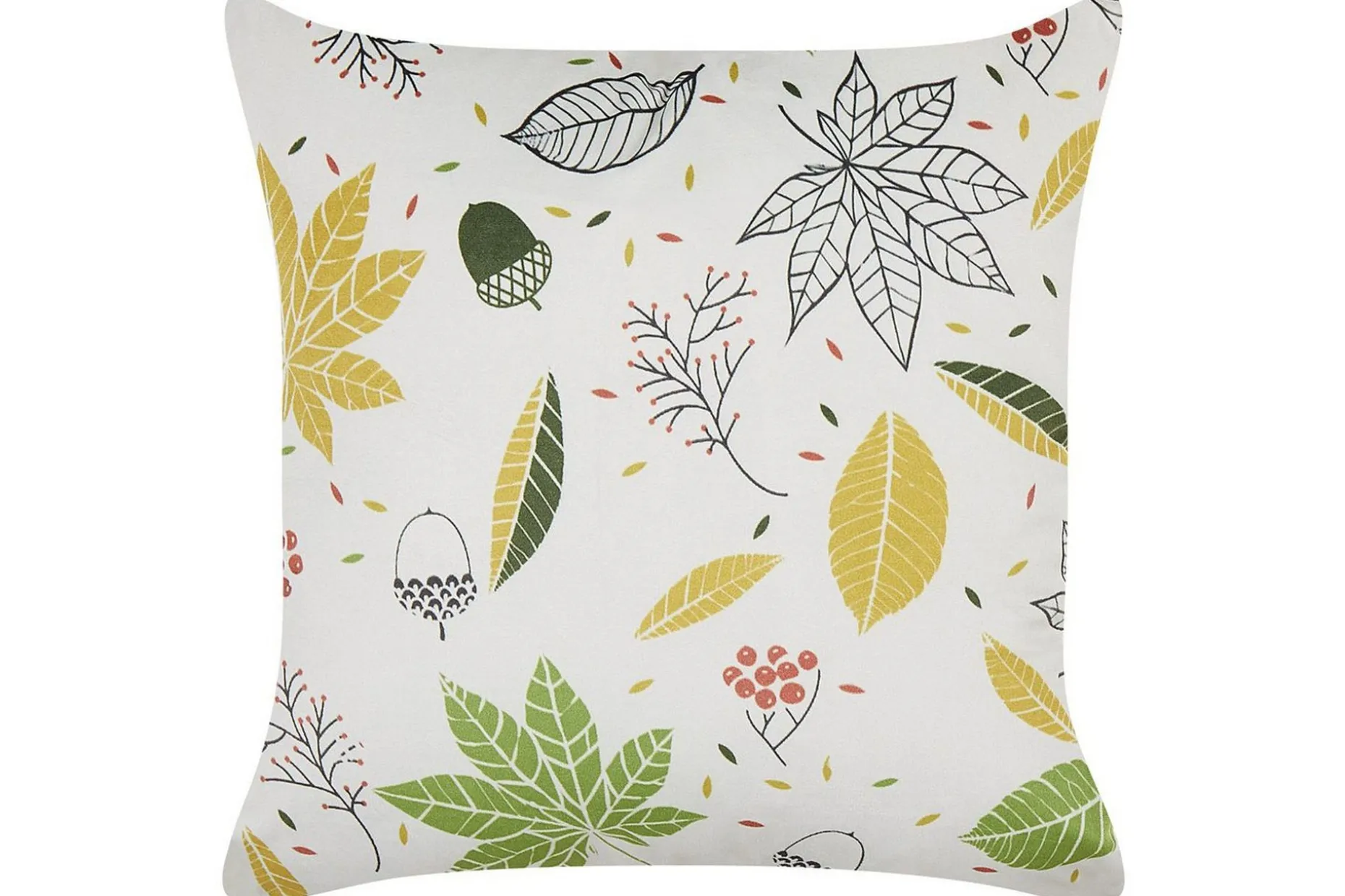 Prydnadskuddar Mullein