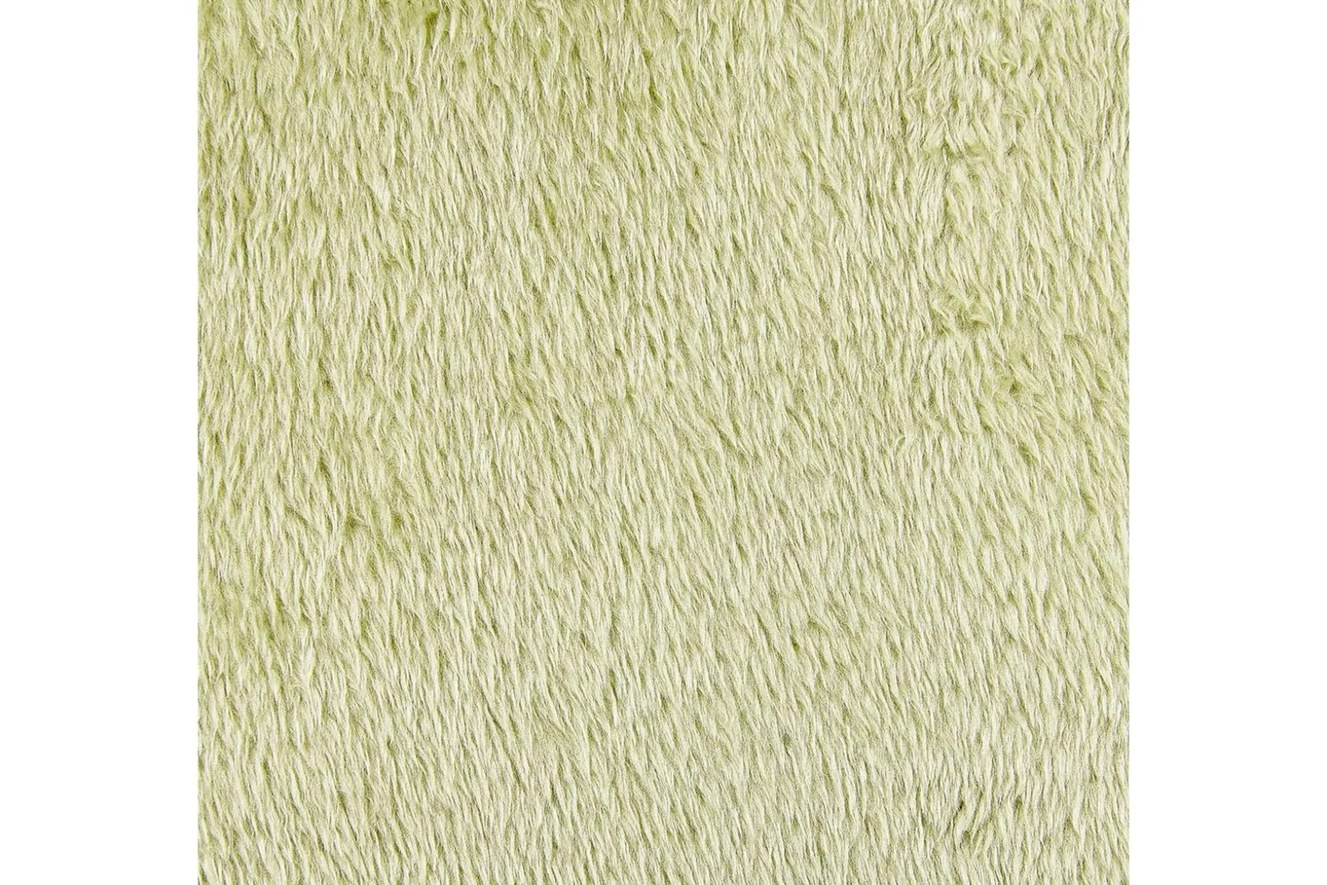 Prydnadskuddar Pilea Grön