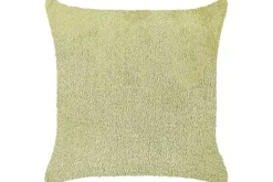 Prydnadskuddar Pilea Grön