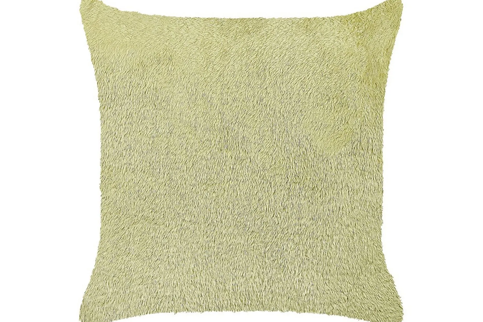 Prydnadskuddar Pilea Grön