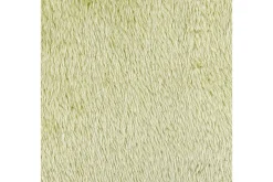 Prydnadskuddar Pilea set om 2 Grön