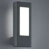 Rhine LED Vägglampa antracit