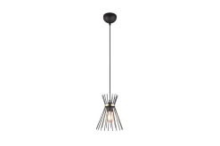 Rod Taklampa 1L E27 svart/ guld