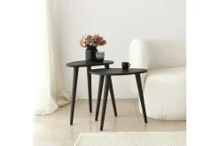 Saldus Satsbord