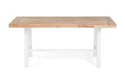 Scania Trädgårdmöbelset 170 cm + 2 Bänkar Utomhus