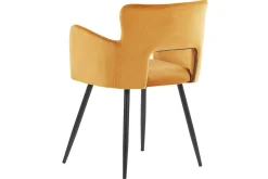 Set med 2 matstolar Sanilac