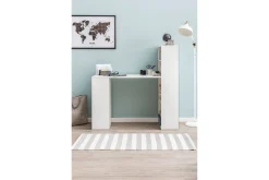 Shuping Skrivbord 120 cm med Förvaring Hyllor