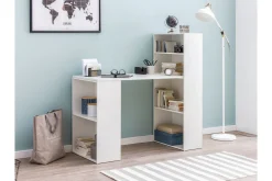 Shuping Skrivbord 120 cm med Förvaring Hyllor