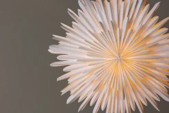 Sälen Adventsstjärna / Jullampa 60 cm