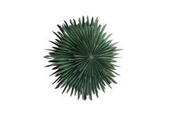Sälen Adventsstjärna / Jullampa 60 cm