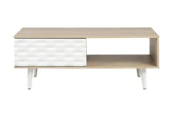 Swanea Soffbord 120 cm med Förvaring Skåp + Hylla