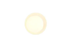 Taklampa TRIO Aleta Vit/transparent