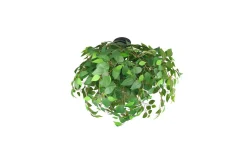 Taklampa TRIO Leavy 70 cm