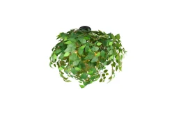 Taklampa TRIO Leavy 70 cm
