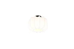 Taklampa TRIO Madeline 25 cm