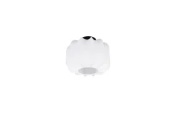 Taklampa TRIO Madeline 25 cm