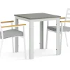 Tunis utomhus caféset 70x70 cm med 2 Oliver karmstolar