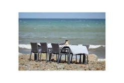 Utebord Hillerstorp Borgdala 220/340 x 107 x H75,5 cm Grå