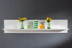 Vägghylla 25x120 cm