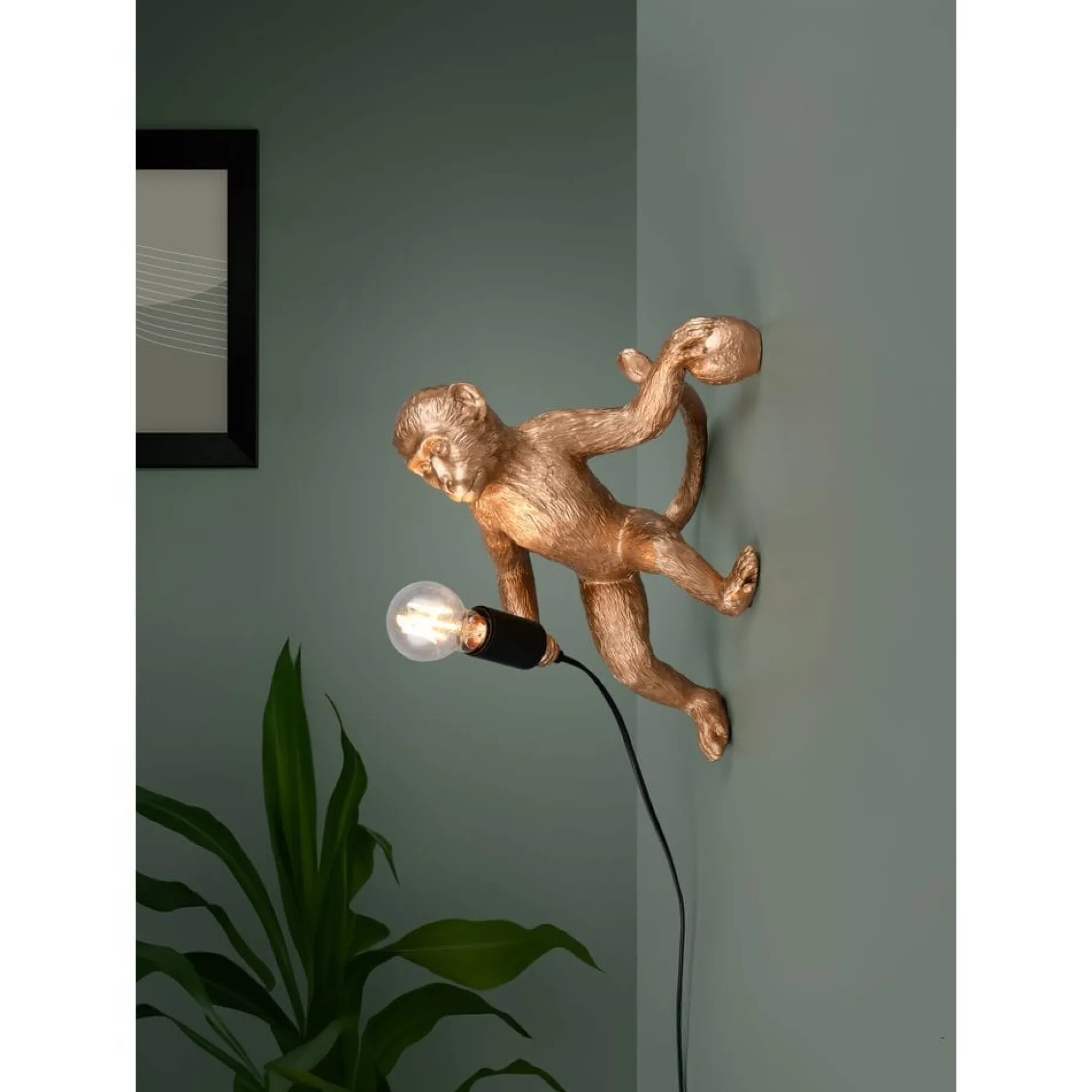 Vägglampa TRIO Louy