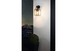 Vägglampa Utebelysning Eglo Trecate