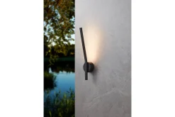 Vägglampa Utebelysning Eglo Taparita