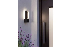 Vägglampa Utebelysning Eglo Riforano