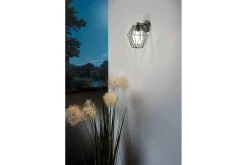 Vägglampa Utebelysning Eglo Canove