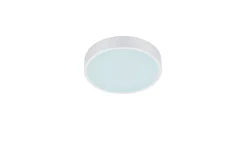 Waco LED Plafond 30 cm mattvit