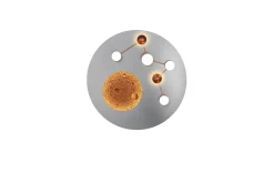 Zodiac LED Plafond borstad stål